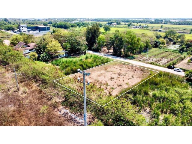 ขายด่วน! ที่ดินถมแล้ว 395 ตร.ว. อ.คลองหลวง จ.ปทุมธานี