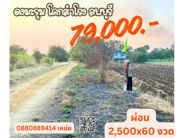 ที่ดิน ดงมะรุม โคกสำโรง ลพบุรี