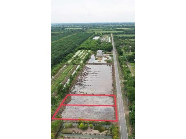 ขายที่ดินคลอง 9 ตะวันตก หนองเสือ ปทุมธานี ตรงข้ามวัดบึงกา(โฉนดครุฑแดง️) ไฟฟ้า3เฟส ประปาถึง