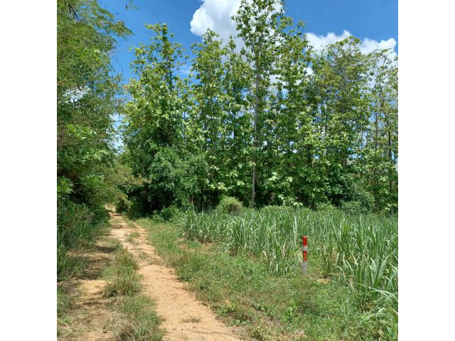 ที่ดินโฉนดครุฑแดง 1ไร่ วิวเขาสวย