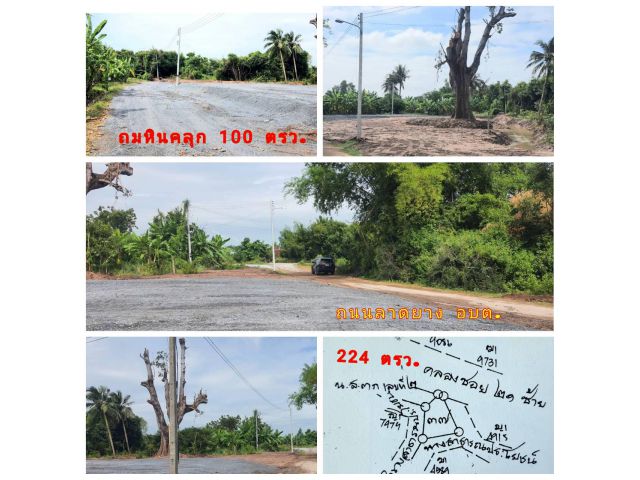 (โฉนด) ที่ดิน 224 ตรว. (พร้อมถม) เหมาะที่อยู่อาศัย หน้าติดถนนลาดยาง คลองน้ำ ไฟฟ้า น้ำประปา (พร้อมใช้) ม.10 ต.ดอนคา อ.อู่ทอง จ.สุพรรณบุรี