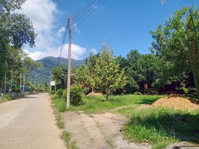 !!!แบ่งขายที่ดิน เนื้อที่ 1 ไร่!!! เสนอขายที่ดินสวนผลไม้ มีทุเรียน มังคุด เงาะ ใกล้พระพุทธบาทเขาคิชฌกูฏ (วัดพลวง) อำเภอเ