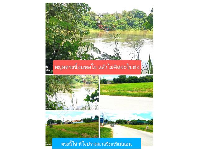 เสนอแนะแปลงสวยเด็ดขาดกวาดให้หมดทั้งแปลงเลย ทำเลสวยสะดวกหาง่ายเข้าถึง ชุมชนที่อยู่อาศัย สวยคาที่ดีถูกใจของใครที่ได้เห็น