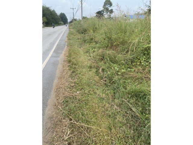 ขายที่ดิน1ไร่3งาน อยู่บางบุตร บ้านค่าย ระยอง