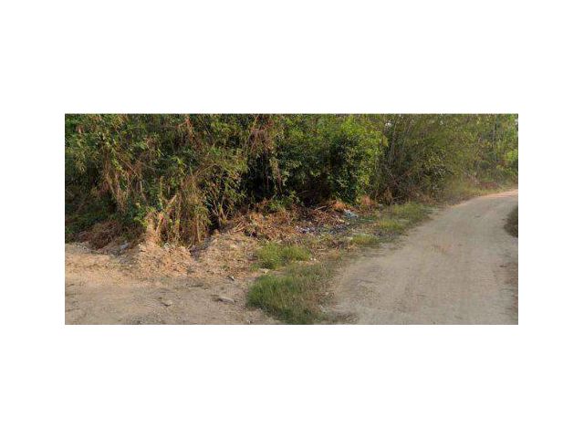 ขายที่ดิน 7 ไร่ ถนนตะเคียนเตี้ย ต.บางละมุง อ.บางละมุง จ.ชลบุรี