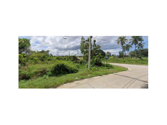 ขายที่ดิน 15 ไร่ ถนนหนองสะเดา ต.บางละมุง อ.บางละมุง จ.ชลบุรี