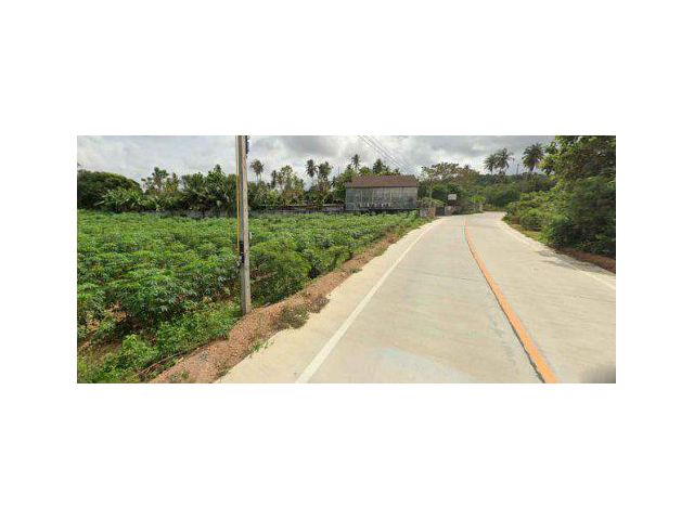 ขายที่ดิน 12 ไร่ ต.บางเสร่ อ.สัตหีบ จ.ชลบุรี