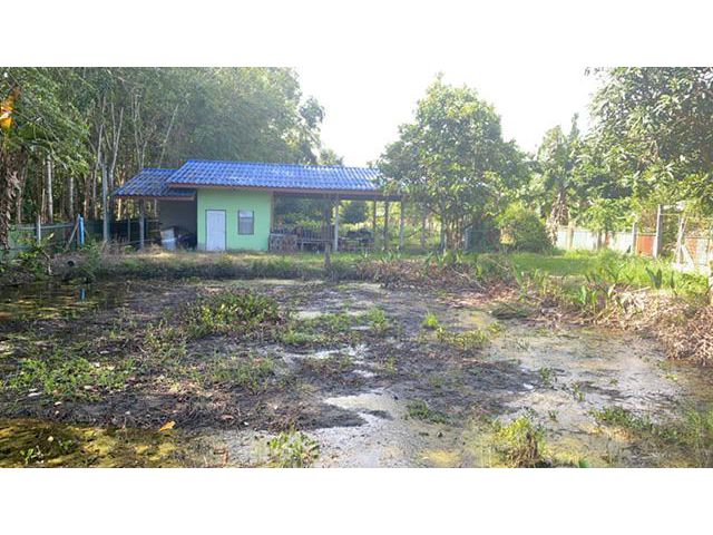 ขายด่วนสวน2ไร่1งาน พร้อมบ้าน อยู่ชากบก บ้านค่าย ระยอง