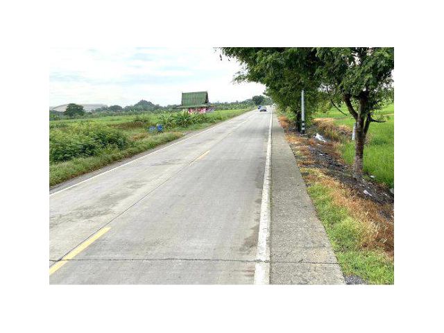 ขายที่ดิน 160 ไร่ คลอง 12 ต.ลำไทร อ.ลำลูกกา จ.ปทุมธานี