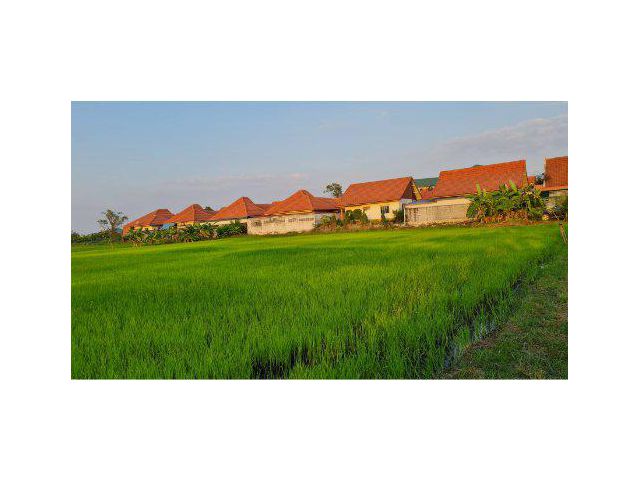 ขายที่ดิน 9 ไร่ ติดถนนเลียบทางรถไฟ ใกล้ท่าเรือแหลมฉบัง ต.บางละมุง อ.บางละมุง จ.ชลบุรี