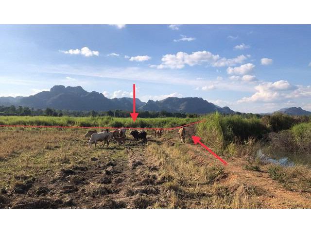 ขายที่ดิน 15 ไร่ *นส.3 ก อยู่ถ.บ้านน้ำดิบ ต.ทุ่งเสลี่ยม อ.ทุ่งเสลี่ยม จ.สุโขทัย *ติดคลองน้ำ ขาย 1.29ล้านโทร.0818138601