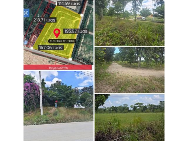 #เสนอขายที่ดินบ้านบึงชลบุรี ขายที่ดิน16-1-10ไร่ อ.บ้านบึง จ.ชลบุรี ไร่ละ2.5ล้าน ต่อรองได้ #โทร 063-789-4962 พี่มังกร