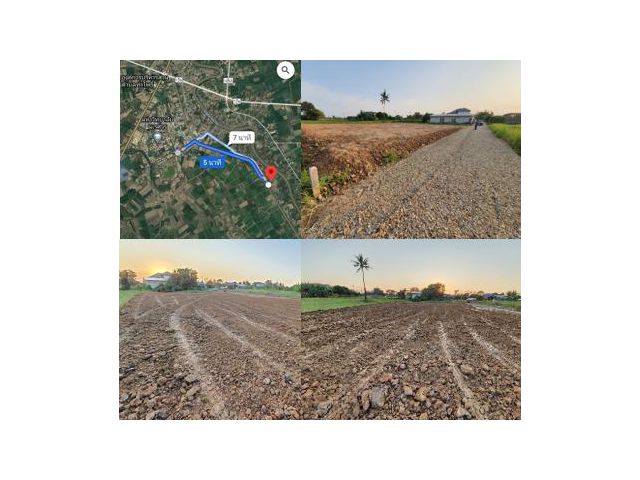 ที่ดินปลูกบ้านใกล้มหาวิทยาลัยนเรศวร ถมแล้ว  100 ตารางวา