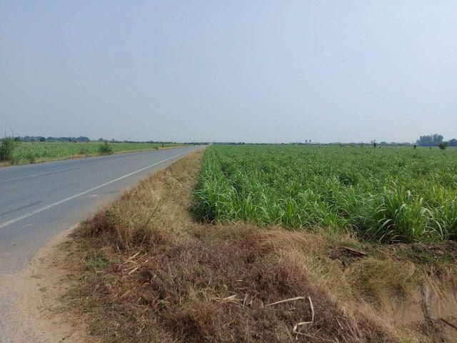 ขายด่วน!!!ที่ดินกำแพงแสน แปลงสวยราคาถูกกืติดถนนลาดยาง2ด้าน เนื้อที่ 31-3-75 ไร่ ใกล้ชุมชยทำเลเหมาะทำธุรกิจโรงงาน, ธุรกิจ