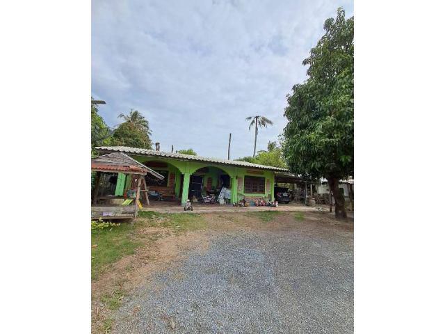 ขายด่วน ที่ดินพร้อมบ้านสภาพดี ราคาถูก เขตกำแพงแสน ติดถนนคอนกรีต เนื้อที่ 4 ไร่ อากาศดีหมาะอยู่อาศัยทำเกษตรพอเพียง