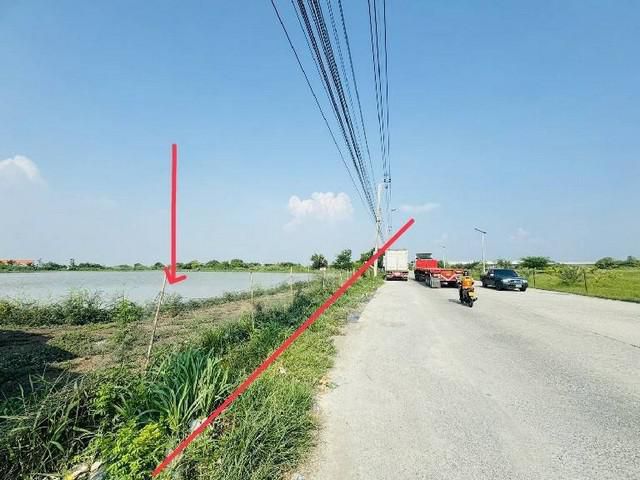 ขายที่ดิน ทำเลทอง ราคาถูกกว่าตลาด ในบางเพรียง-ลาดหวาย