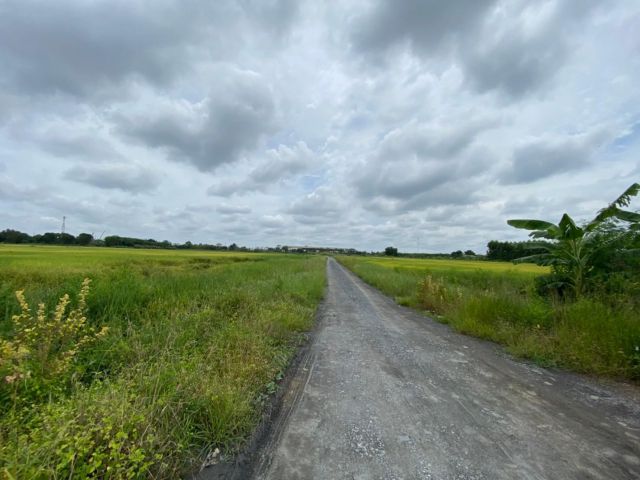 L970 ขายที่ดิน 223 ไร่ เมืองฉะเชิงเทรา