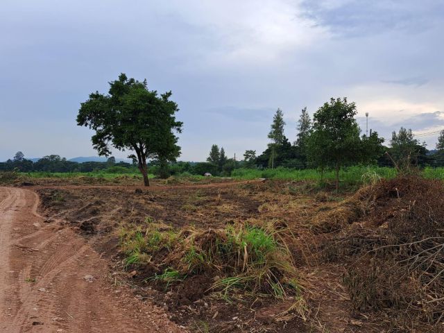 L973 ขายที่ดินวิวภูเขา 17 ไร่ ปากช่อง นครราชสีมา