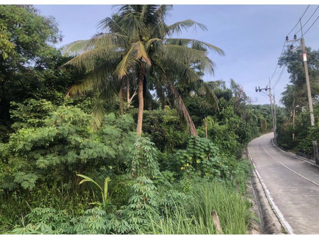 ขายที่ดินเชิงเขาหอดูดาวเฉลิมพระเกียรติสงขลา