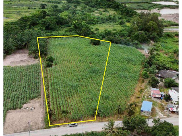 ขายที่ดินคลองกิ่ว 4 ไร่ ติดถนนคอนกรีตติดอ่างเก็บน้ำหนองน้ำเขียว ใกล้เทศบาลบ้านบึง-4กม. อ.บ้านบึง ชลบุรี