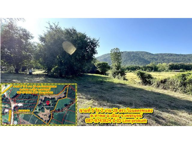 ขายที่ดินเพชรบูรณ์ 5ไร่ 2 งาน 28 ตรว. บรรยากาศดี เห็นวิวภูเขาสวย