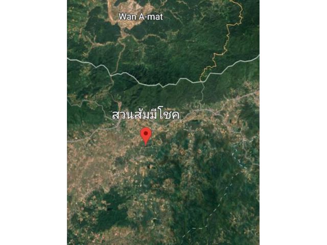 ขายที่ดินเชียงใหม่ แม่อาย ใกล้สวนส้ม โฉนด 24 ไร่ 47 ตรว. ไร่ 175,000 บาท
