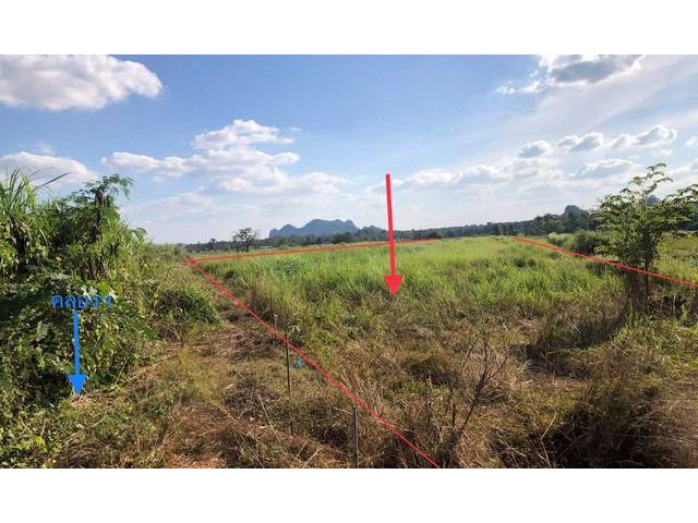 ที่ดินเปล่าให้เช่า 3 ไร่ 3 งาน ถ.วังประจบ ต.บ้านพราน อ.พรานกระต่าย จ.กำแพงเพชร โทร.081-813-8601 ค่าเช่ารายปี 3,000:ไร่:ปี