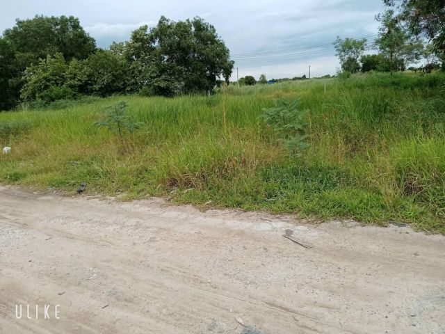 L975 ที่ดินแบ่งขาย/ยกแปลง 120 ตรว พานทอง ชลบุรี