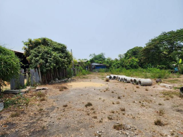 L981 ขายที่ดินสวยทำเลดี ถมแล้ว 200 ตรว เมืองราชบุรี