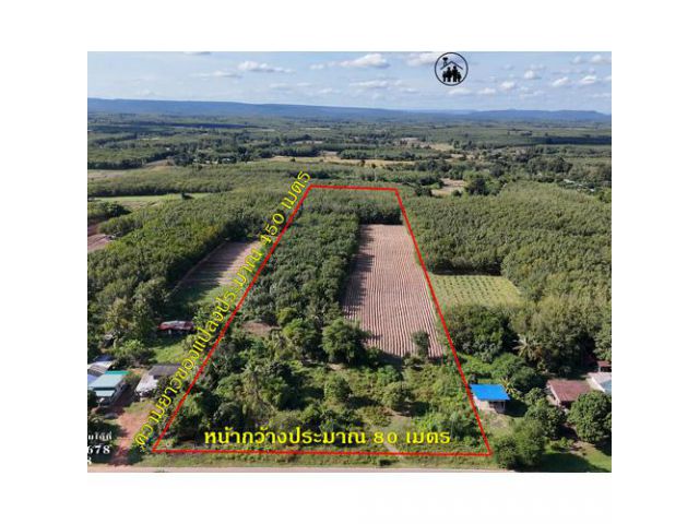 ทุบราคาขายด่วน! ที่ดินสวนยาง 22 ไร่เศษ นิคมคำสร้อย! (ลด 900,000 บาท)