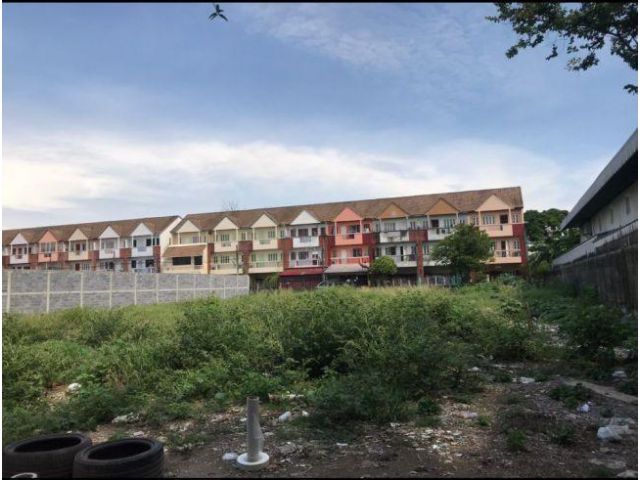 L984 ขายที่ดินลาดพร้าว.64 495 ตรว วังทองหลาง กรุงเทพฯ