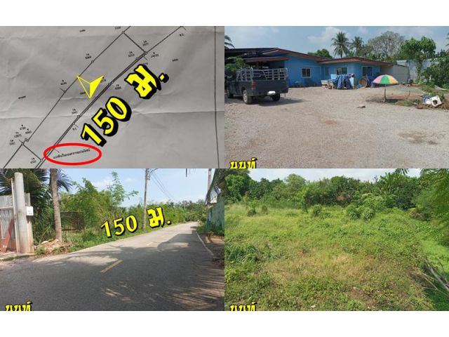 ติดถนนลาดยาง 150 ม. เนื้อที่เต็ม 2 ไร่ 2 งาน 32 ตารางวา 3 ห้องนอน 1 ห้องครัว 5 ห้องน้ำ ที่พักคนงาน ถมบ้างแล้ว