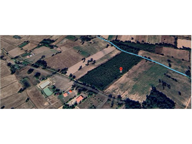 ต้องการขายที่ดิน 14 ไร่ 2 งาน 70 ตารางวา อ.บรบือ มหาสารคาม