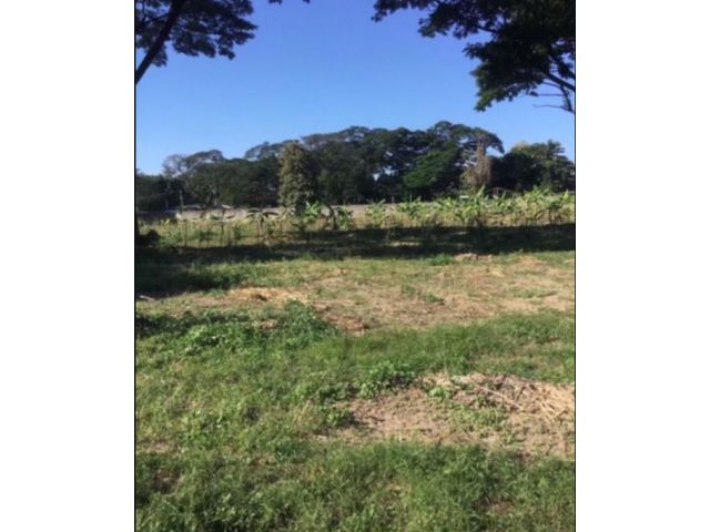 L624 ขายด่วน ที่ดินเปล่า 24-0-17 ไร่ (ต.วัดเกต อ.เมืองเชียงใหม่ จ.เชียงใหม่)