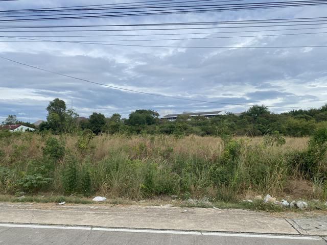 ขายที่ดินเปล่า5ไร่ อยู่ทางไผ่4 เมือง ระยอง