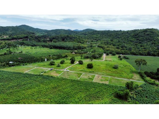 ขายที่ดิน พิกัดที่ดิน ต.หนองประดู่ เลาขวัญ กาญจนบุรี(สามารถผ่อนชำระได้)