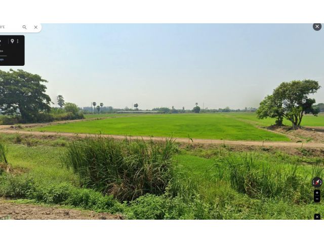 ขายที่ดินเนื้อที่ 30 ไร่ ที่นา ต.ห้วยขวาง อ.กำแพงแสน