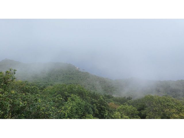 ขายด่วน