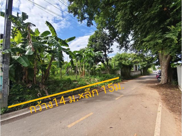 ขายที่ดินสัตหีบ 52ตรว. ราคาถูก ใกล้สุขุมวิท