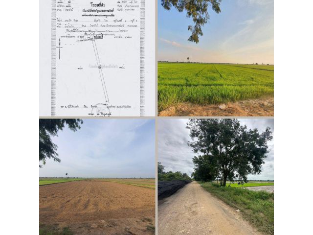 ขายที่ดินแปลงสวย 26 ไร่ เมืองกำแพงเพชร