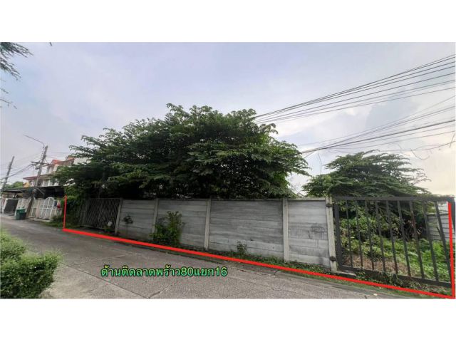 R68-069ขายที่ดิน 245 ตรว. ติดซอย 2 ด้าน ลาดพร้าว 80 แยก16 และแยกซอยแต่งตั้ง1 ทำเลดีเหมาะทำธุรกิจ อาพาตเม้นต์ บ้านพักอาศัยหรือออฟฟิตสำนักงาน เข้า