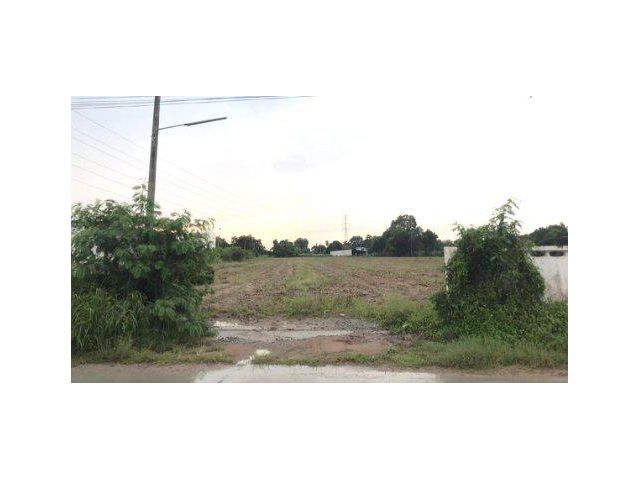 ขายที่ดิน 8 ไร่ ติดถนนลาดยาง ต.สุรศักดิ์ อ.ศรีราชา จ.ชลบุรี