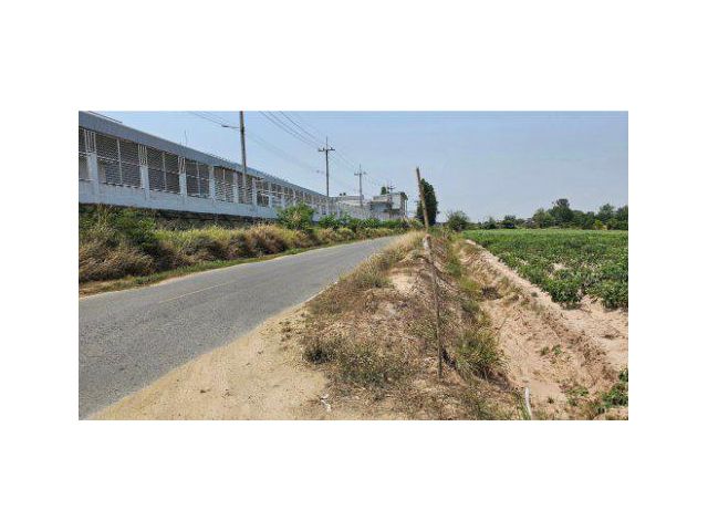 ขายที่ดิน 16 ไร่ ใกล้ถนน 331 ติดถนนซอยหนองยายเภา-เจริญโชคดี ต.บ่อกวางทอง อ.บ่อทอง จ.ชลบุรี