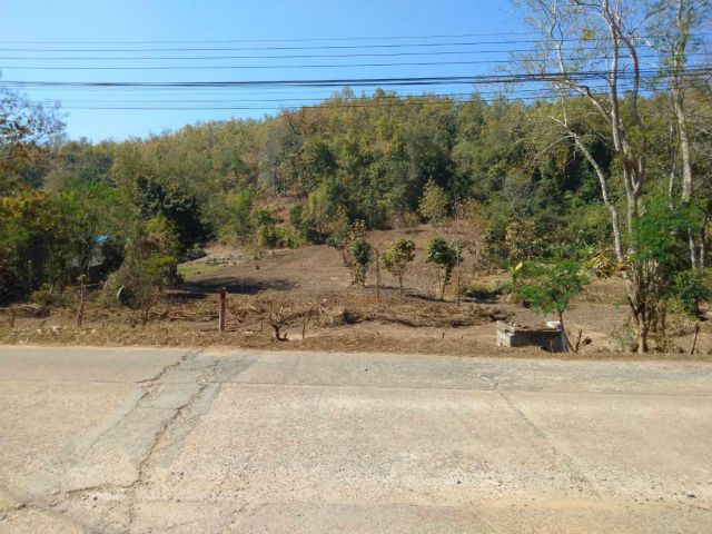 ขายที่ดินเหมาะทำโฮมสเตย์