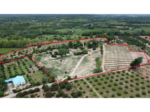 ขายที่ดินราคาถูก เชียงใหม่ 29 ไร่ ติดถนนลาดยาง สวนทุเรียน–อาโวคาโ