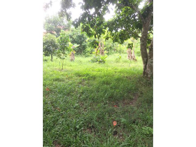 ขายที่ดินเปล่า1ไร่ อยู่นาตาขวัญ เมือง ระยอง