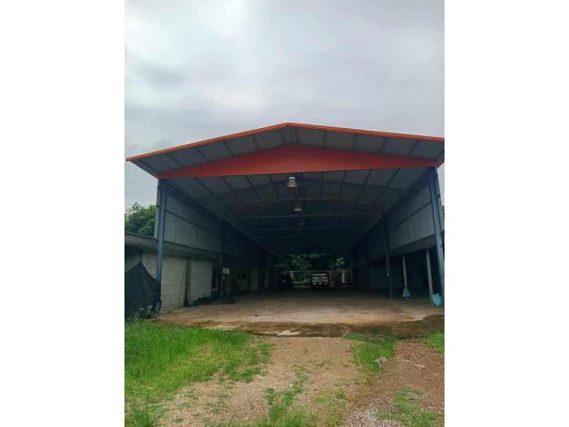 F215 ให้เช่าโกดังแบบเปิด โกดังส่งออกผลไม้ 1,000 ตรม. ถนน เส้นบ้านบึง แกลง อ.วังจันทร์ จ.ระยอง