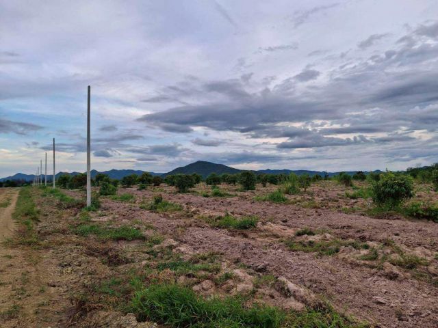 เปิดขายแล้วสวนผักผลไม้ 100 ไร่ ต.รางบัว อ.จอมบึง จ.ราชบุรี ติดถนนหลัก 3208 ขายเหมายกแปลง 65,000,000 บาท