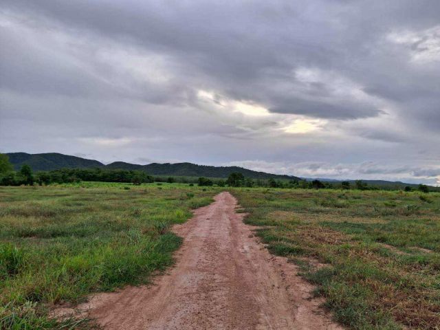 เปิดขายแล้ว!! ที่ดิน นส3ก. 100 ไร่ ต.รางบัว อ.จอมบึง จ.ราชบุรี ไร่ละ 200,000.-