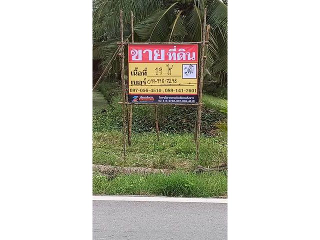 ขายที่ดินสวนมะพร้าว 19 ไร่  ถนนดำ บ้านแพ้ว ซอยทุ่งเศรษฐี   สมุทรส